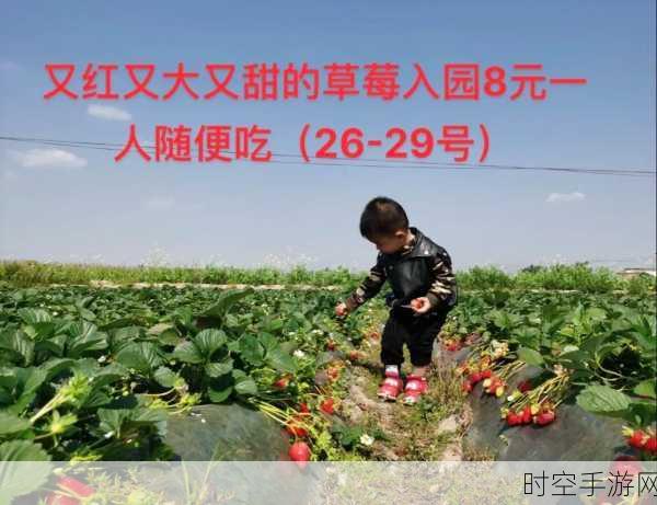 草莓视频www:1. 草莓视频:探索无限精彩,尽享视听盛宴