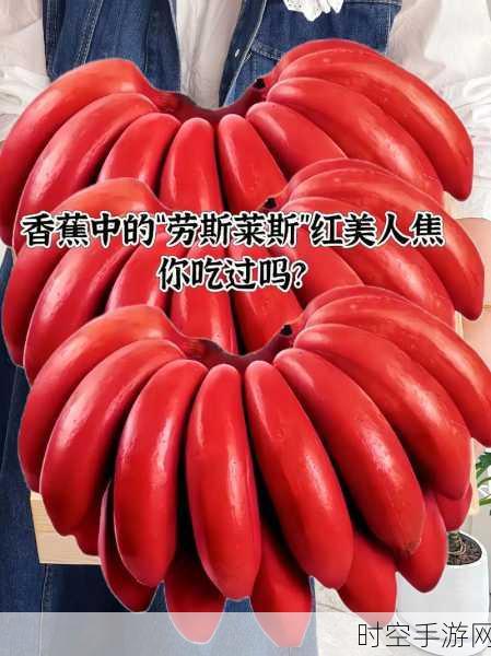 香蕉视频免费看:1. 香蕉视频:畅享无限精彩,随时随地看不停