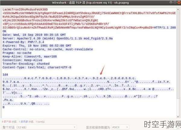 探究 PHP 文本过滤中空白字符的留存之谜