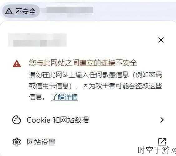 浏览器直接进入网站的注意事项全新上线:1. 浏览器访问网站的安全须知与技巧