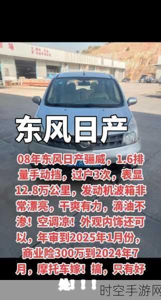 欧洲日产和中国日产:1. 欧洲日产在中国市场的战略布局及未来展望