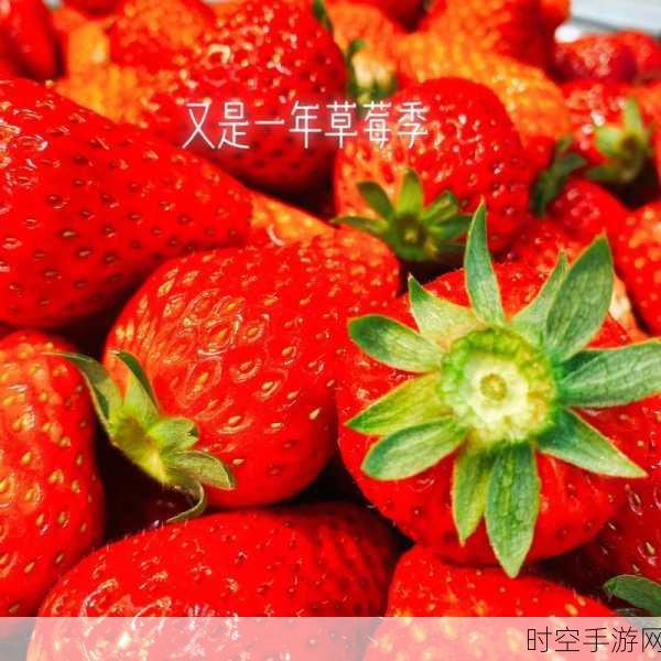 草莓视频色中色:1. 草莓视频:探索色彩与情感交融的奇妙旅程