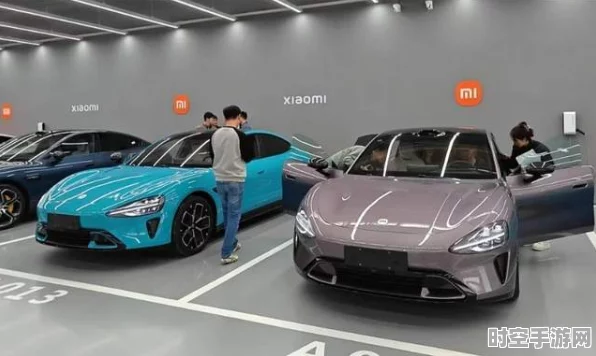2025年中国车市新势力，理想领跑，小米汽车IT技术紧追不舍