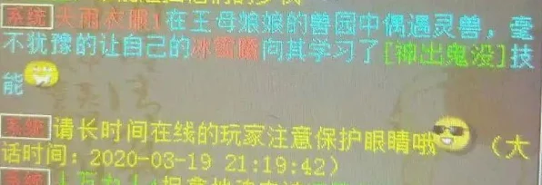 大话西游手游角色技能映射IT新技术，冰雪魔与剑精灵的实力比拼与IT未来展望
