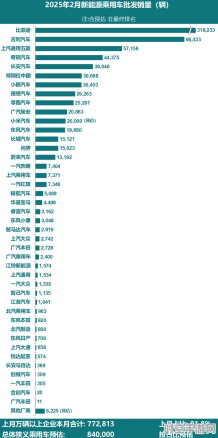2025首周新能源车市，小鹏领跑，IT技术革新驱动行业变革