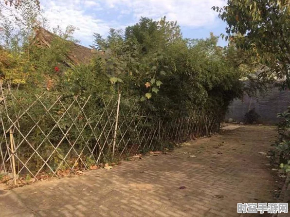 以闪亮之名苹果版上线，新兴IT技术再掀波澜