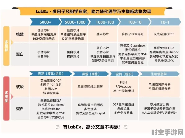 AI与DLSS 4，共绘未来技术新蓝图