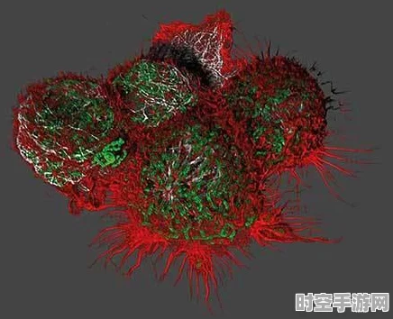 超快3D成像技术，开启实时三维成像新时代