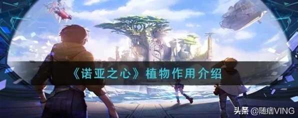 诺亚之心背后的技术革新，探索IT领域的最新进展