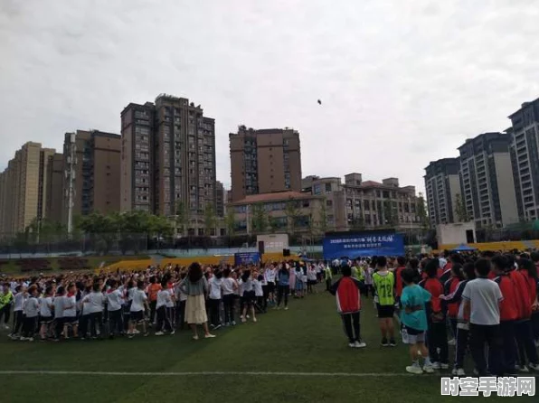 51单片机融合LoRa技术，开启无线采集新时代