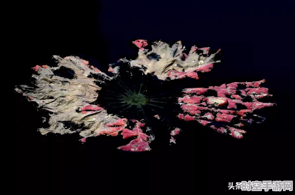 梦幻西游套装升级，三件与五件装的IT视角解析